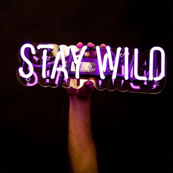 Hand-held Illuminated Neon Lights Letters LED Neon Lights Indoor Decoration Concert Lights Band