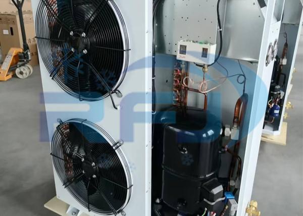 Double Fan Plastic Shell Fan Box Type Health Unit Medium-High Temperature Refrogeration Condensing Unit R404A R22