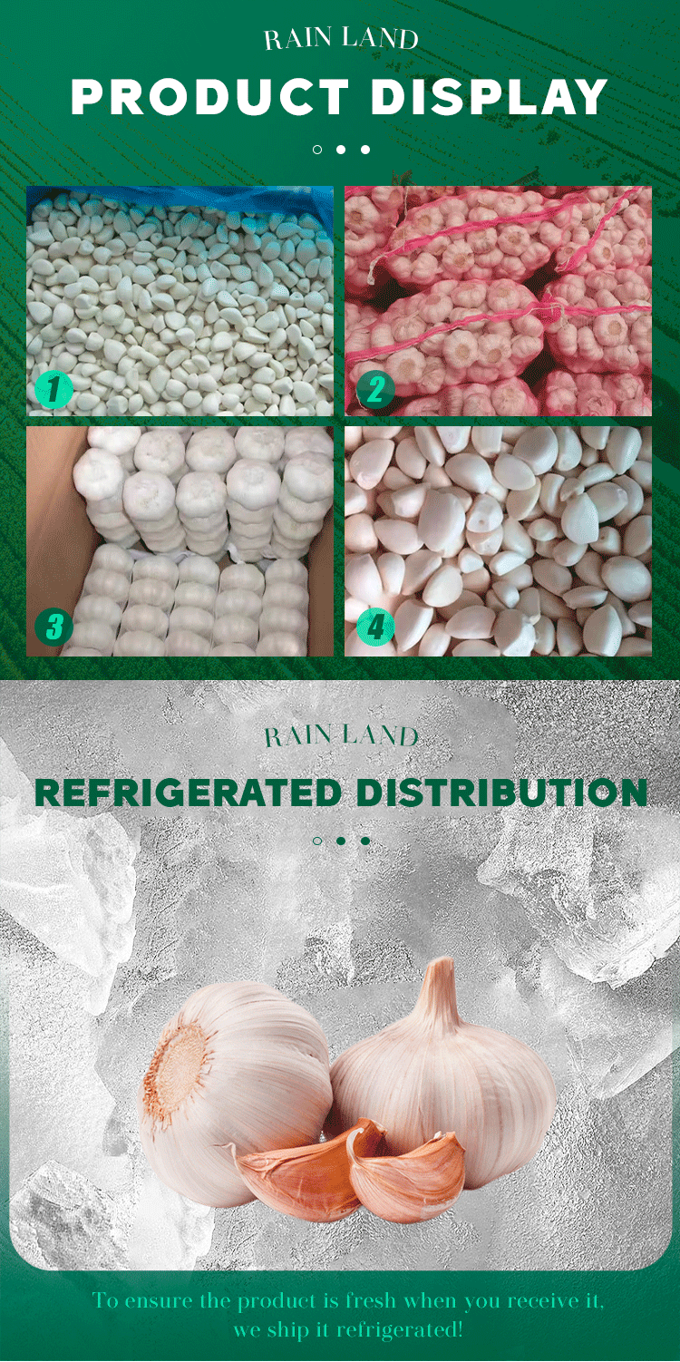 Wholesale Fresh Natural Fresh Garlic Organic Garlic Perfect for Cooking and Seasoning