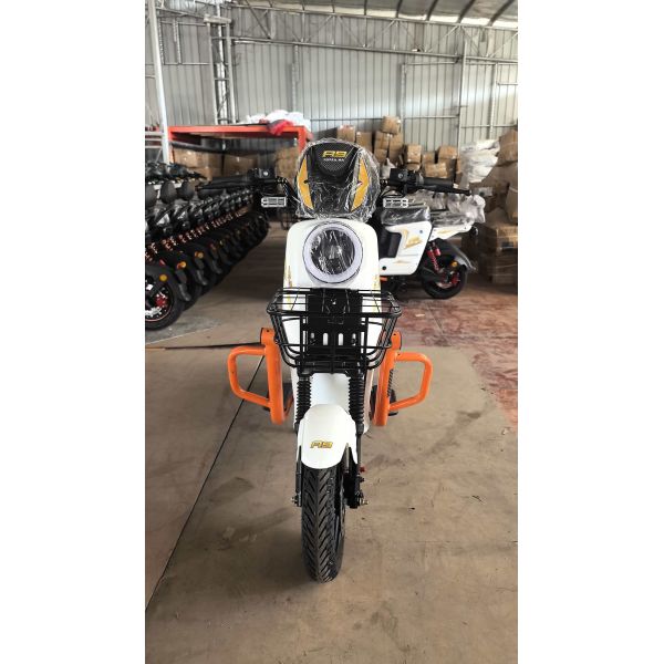 R9 KOREA.MR 48V/60V Electric Bicycle with Front Disc Brake and Dual Shock