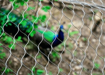 7X7 Stainless Steel Aviary Mesh Ferruled Bird Enclosure Netting For Zoo Animal
