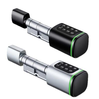 Tuya Smart Door Lock Electronic Keyless Door Simple Installation with Password