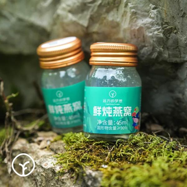 Boisson de nid d'oiseau Premium nid d'oiseau pour l'immunité riche en collagène pour les femmes enceintes