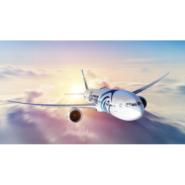 Срочная всемирная доставка UPS DHL FEDERAL EXPRESS международная от Китая к Соединенным Штатам