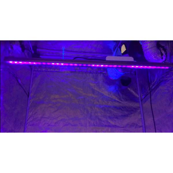 приведенное УЛЬТРАФИОЛЕТОВОЕ 385nm UVBar120 80W растет светлым для крытых заводов
