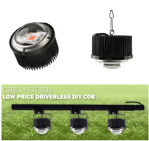 Вырастите обломок 100w 380-780nm 60-90umol/S СИД спектра светов полный