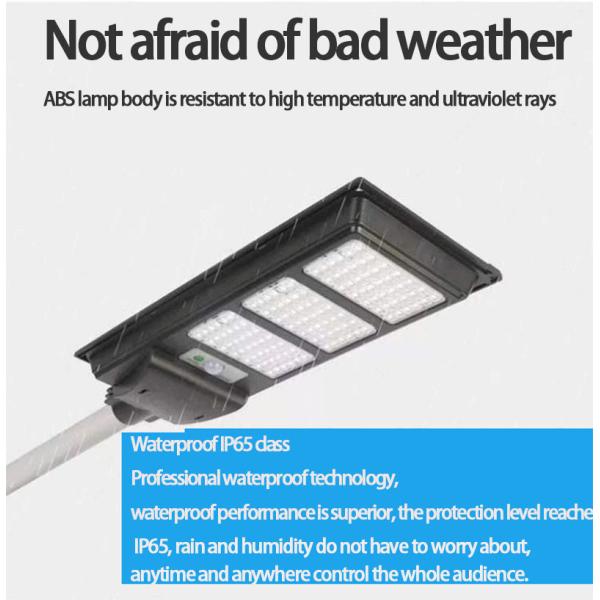 Lighting and Circuitry Design for 0.23kg Power Induction Street Light in Rural Areas