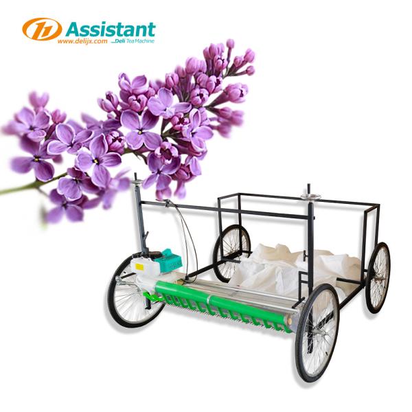 300 mm Tea Harvester DL-4CP-1210W The Ultimate Solution for Lavender Tea Production
