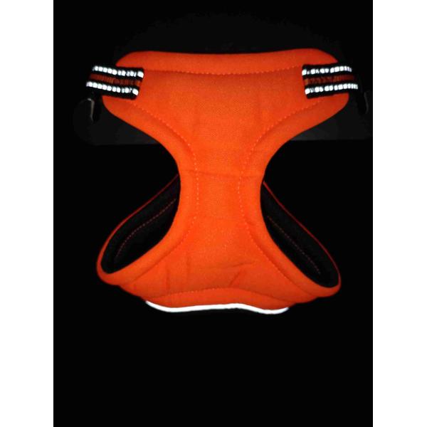 Обязательная одежда для вашего пушистого товарища