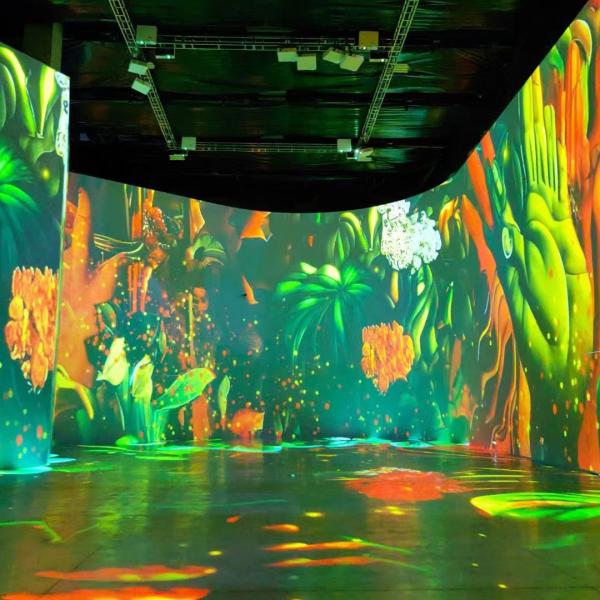 Immersive Projector Museums And Exhibitions Short Throw Laser Projector