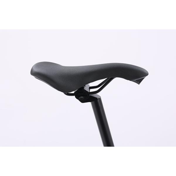 Customization Road Bike with Aluminum Alloy Frame and Disc Brake System 700C Mountainbike