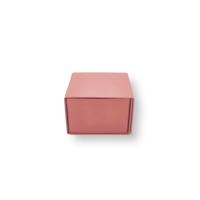 Paquetes de Regalo Deluxe para Soluciones de Regalos Corporativos Personalizados