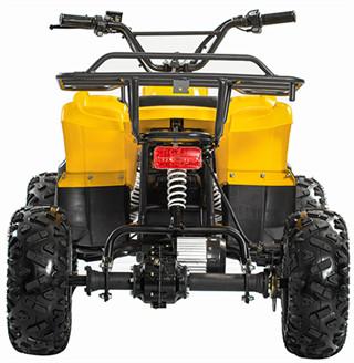 Bicicleta elétrica da roda de Off Road 4 todos os veículos CPSC quatro Wheeler Off Road do terreno