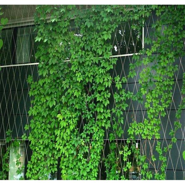 3.0 Mm 38 X 38 Mm Stainless Steel Cable Mesh For Safety Protection