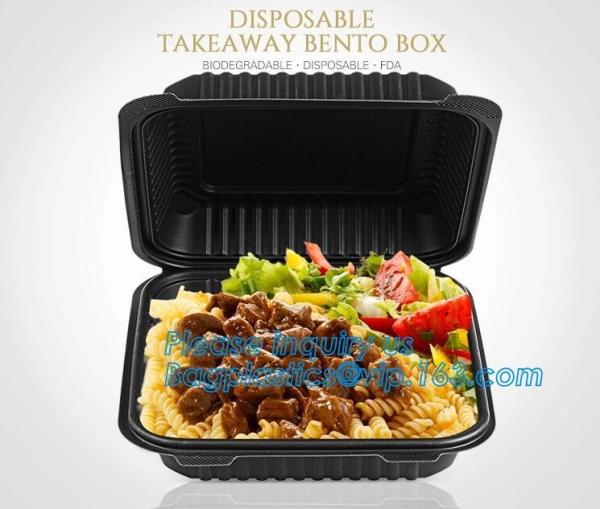 Natural Compostable 3 Compartment Biodegradable Disposable Corn Starch Food Container,starch 4 compartment microwave foo