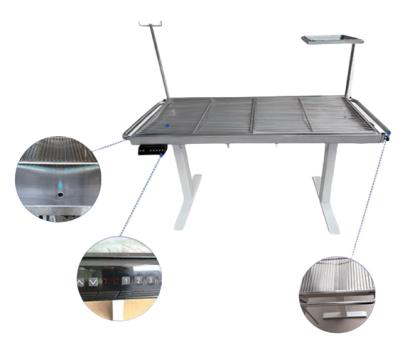 Intelligent Control Pet Operating Table I-Type Electric Lift Operating Table
