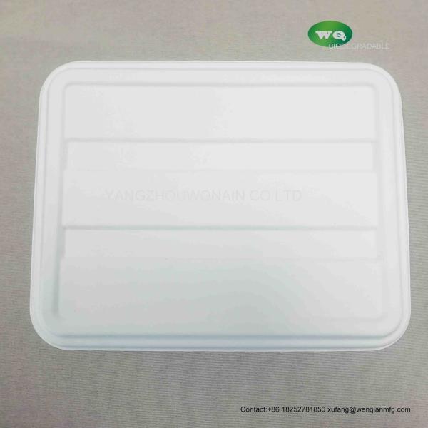 4-coms Sugarcane pulp plate with lid  Natural-Pulp Biodegradable Products Microwavable And Safe For Hot And Cold Foods