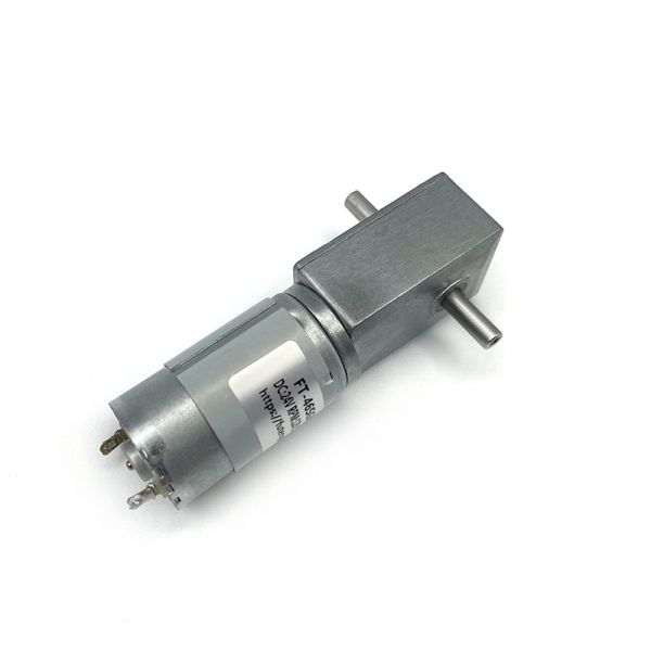 Customized Manufacturer FT-46SGM395-69K 12V Micro DC Gear Motor 24V Worm Gear Motor