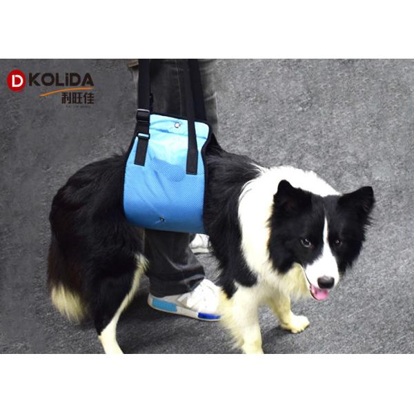 Blue / Orange Nylon Dog Harness / Dog Aid Lift Support Harness With Handle Sling