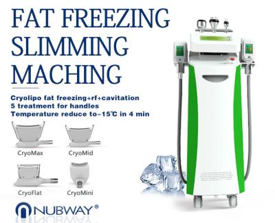 Fat Freeze slimm best seller  5 heads cryolipolysis slimming lipolaser fat frezzing machine Cryo Handles can work at sam