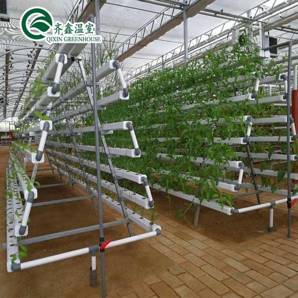 PO Film Protected Indoor Hydroponic Growing Systems for Greenhouse
