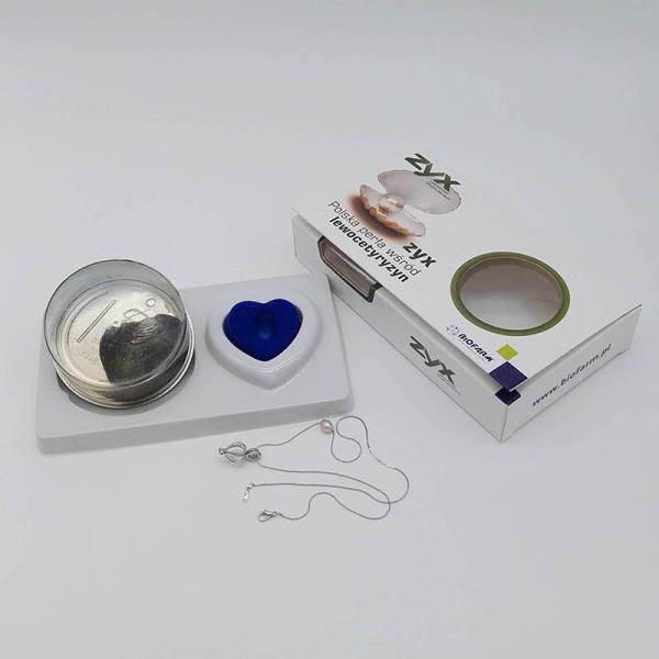 Custom Color Box  Love Pearl Gift Box With Neckalce and Drop Cage Pendant for Women's Gift