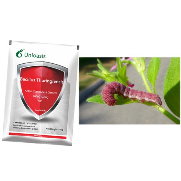 Unioasis Organic Agricultural Biological Pesticide Bacillus Thuringiensis Killing Lepidoptera Pests
