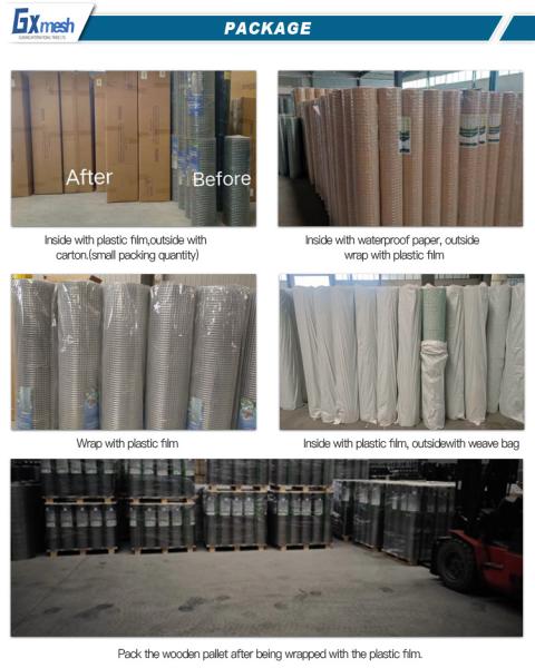 Factory Direct Supply Cheap Price Steel Matting Galvanized Welded Wire Mesh Bird Cages Welded Wire Mesh In 12 Gauge