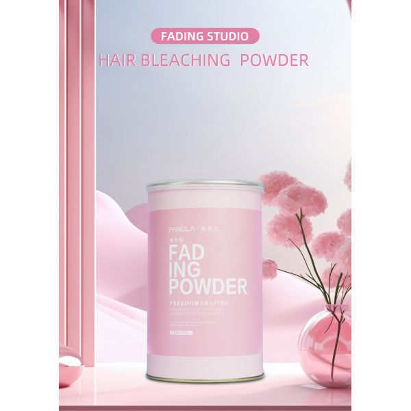 Poudre Décolorante Professionnelle pour Cheveux de Salon 500g Formule à Base de Plantes Coloration Permanente