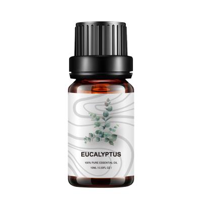 OEM do COA do eucalipto da planta de óleos essenciais da fragrância da casa 5ml para a medicina