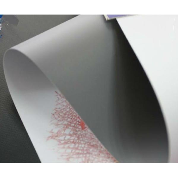 Eco-Sovlent  Satin Grey Back PET Film 350mic/450GSM for X Banner / display/ Roll up Banner stand