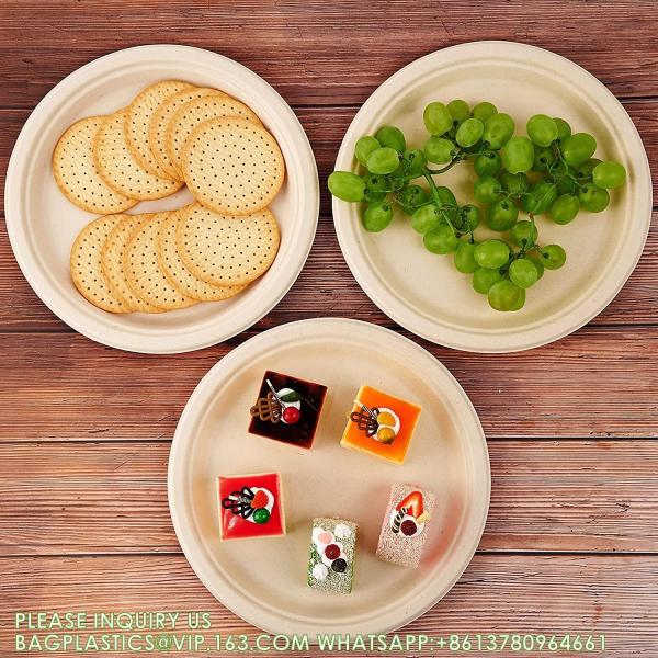Eco-Friendly Customized Size Grease Oil Water Proof Microwavable Plate Disposable Compostable Sugarcane Bagasse
