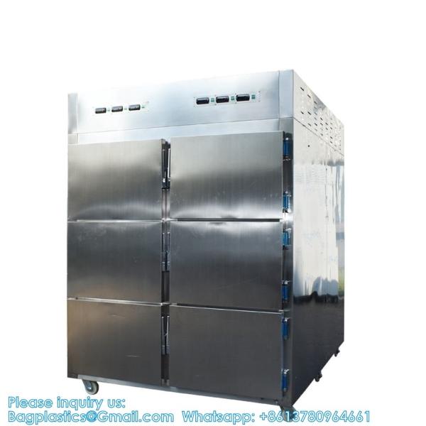 6 Rooms Dead Body Refrigerator Morgue Freezer Mortuary Equipment Morgue Coffin 6 Rooms Dead Body Freezer