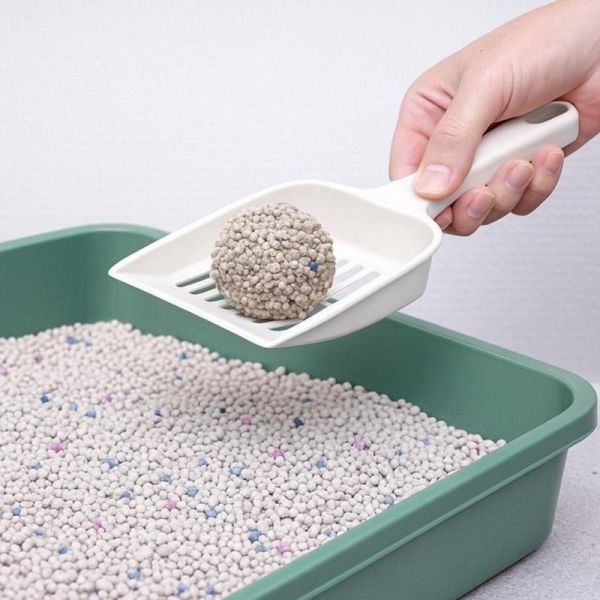 Professional Grade Bentonite Cat Litter with Superior Clumping and Odor Control Technology
