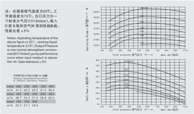 Stable One Stage Liquid Ring Vacuum Pump Convenient Maintenance