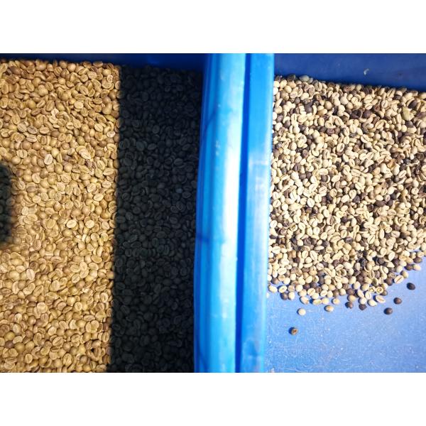 3.0t/H CCD Coffee Bean Sorting Machine With High Processing Accuracy