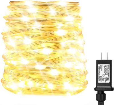 Outdoor Fairy Copper Wire Lights 10CM LED Spacing AC 240V for Dorm
