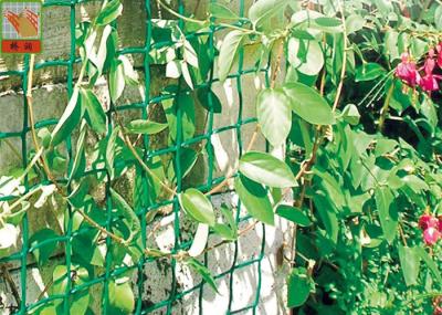 Plastic Garden Netting For Climbing Plants , Garden Fence Roll With UV Stabilized