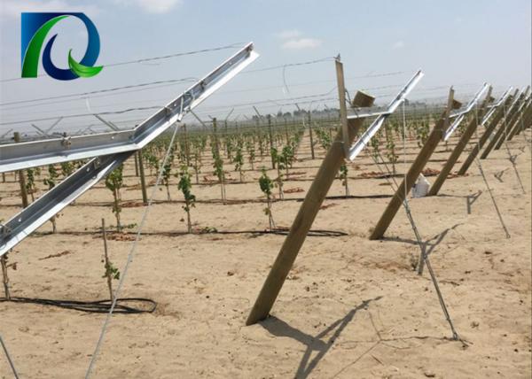1.5M Arms Length V Shaped Open Gable Trellis System For Vineyard Recycled