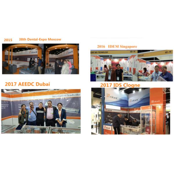 Dorit Dental High Speed Dental Handpieces With CE ISO