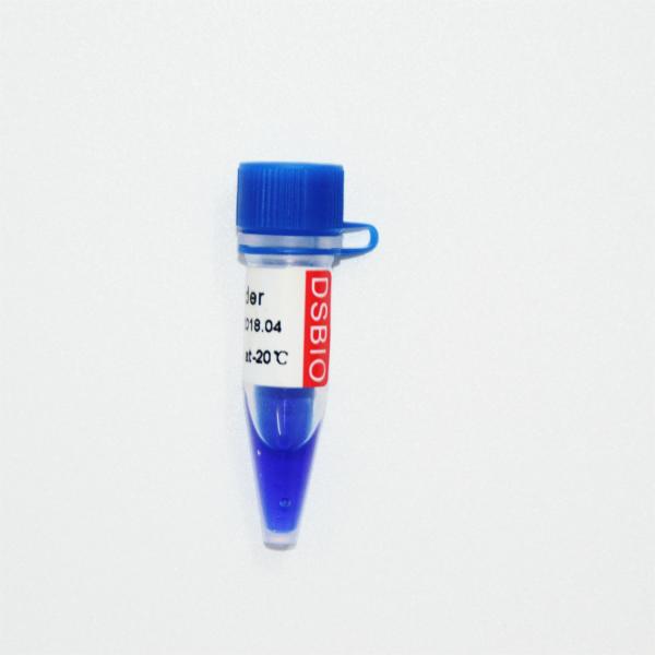 10bp DNA Ladder Gel Electrophoresis High Purity Reagents