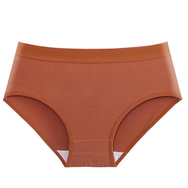 Multi Color Women'S High Rise Cotton Underwear ODM Accepatable