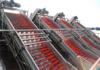 Ligne de transformation industrielle de tomates et de boissons à base de fruits pour usines automatiques de transformation de tomates SUS304