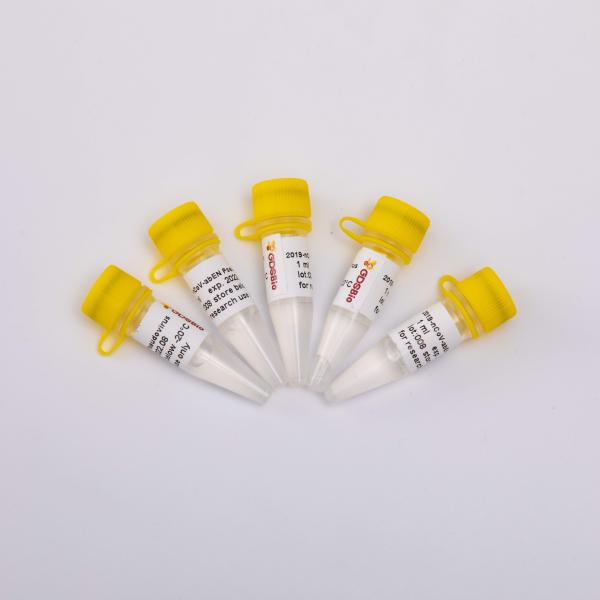 жидкость набора извлечения 1ml 5ml 10ml вирусная нуклеиновая кисловочная ясная