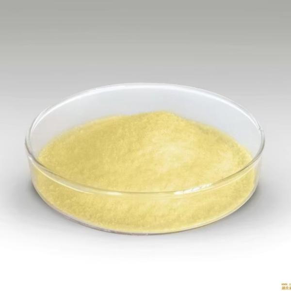 Enzyme alimentaire OEM en poudre, alpha-amylase fongique pour la boulangerie, CAS 9013-01-8