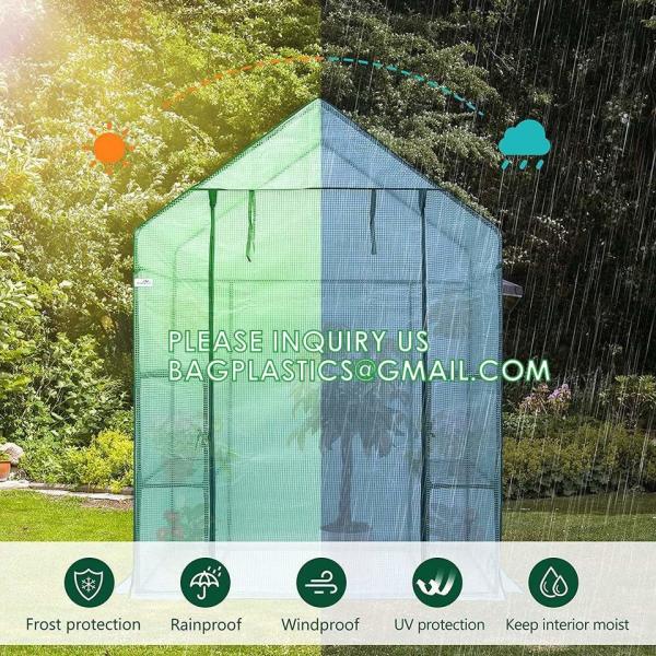 Heavy-Duty Poly Balcony Large Walk In Tunnel Plastic Greenhouse Tent For Winter Indoor Garden Winter PVC Mini