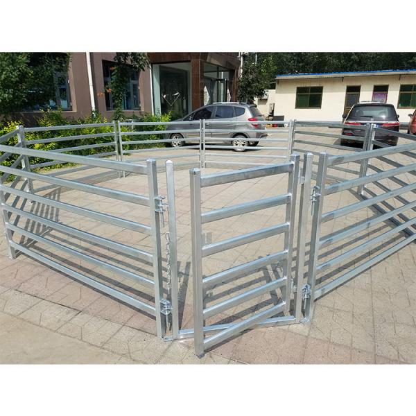 5ft Stronger Galvanized Livestock Fencing Sheep Goat Panels Gates 