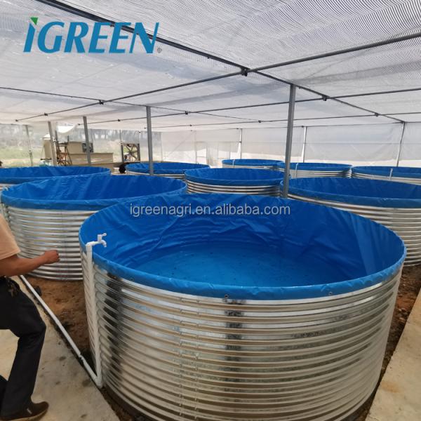Customized Shape Corrugated Galvanized Steel Fish Pond Fish Tank PVC Tarpaulin for RAS Recirculating Aquaculture System IGREEN