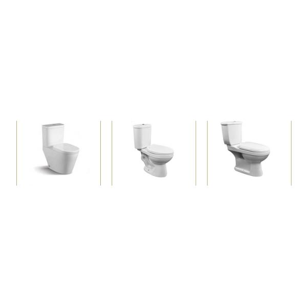 Floor Mounted Bathroom Sanitary Ware White 2 Piece Toilets Bowl