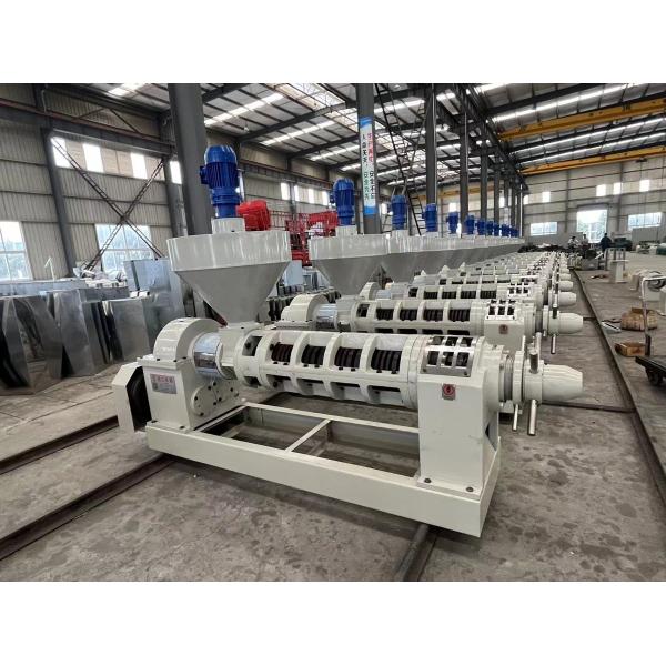 Large Capacity Cold Oil Mill Oil Making Machine Palm Kernel Oil Press Coconut Oil Press